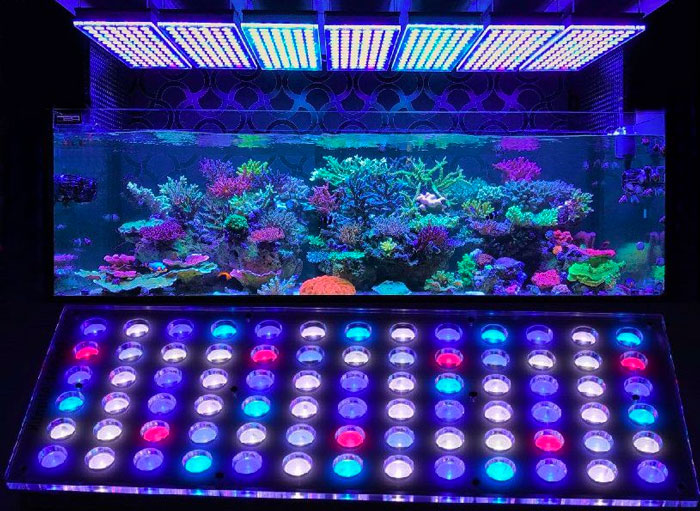 pantallas led acuarios
